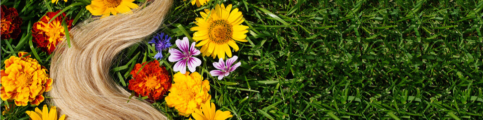 Banner A lock of blond hair among the flowers, on the green grass. Hair health concept, natural...