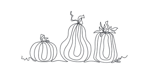 Pumpkins of different shapes drawn in one line isolated on white background. Sketch. Autumn. Thanksgiving day. Halloween. Contemporary art. Vector illustration.