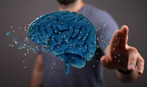 Creative background, the human brain on a blue background, the hemisphere