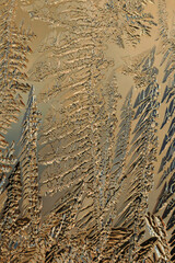 Fantasy drawing on window glass in winter. A pattern of magical fantastic plants. Inverted light yellow brown background or wallpaper. Vertical backdrop. Stems and leaves made of ice crystals