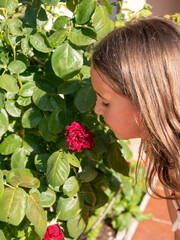 Naklejka premium Cute Caucasian girl smelling a flower in a garden.
