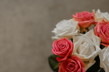 background, rose