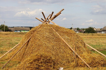 Yellow Oats hay bale on the European rural harvested field at Sunny summer day on blue sky...