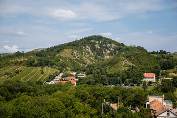 Fototapeta na wymiar Mikulov, South Moravian Region, Czech Republic, 05 July 2021: panoramic view from Kozi Hradek to Mount Turold with green grass and forest, vineyards and residential buildings at sunny summer day