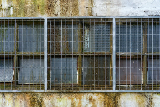 Factory windows covered in slime behind a security grill