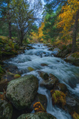 River waterfall landscape in autumn forest with orange and yellowish leaves of the trees at Guadarrama national park, Lozoya river, Spain
