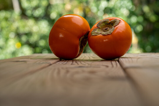 森背景images Browse 195 Stock Photos Vectors And Video Adobe Stock