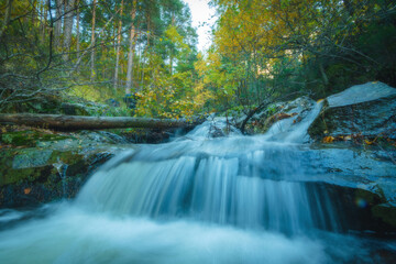 River waterfall landscape in autumn forest with fallen tree trunks with orange and yellowish leaves of the trees at Guadarrama national park, Lozoya river, Spain