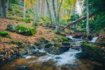 River waterfall landscape in autumn forest with orange and yellowish leaves of the trees at Guadarrama national park, Lozoya river, Spain