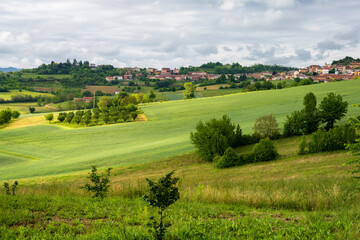 Landscape of Monferrato near Calliano at springtime