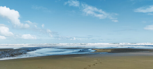 scenic view of bethells beach near auckland new zealand