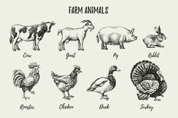 Hand drawn sketch farm animals set. Vector black and white vintage illustration