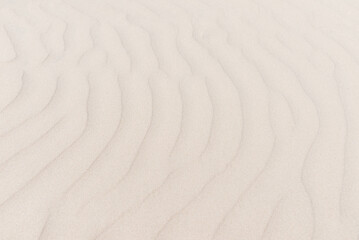 Fototapeta na wymiar Sandy beach. Sand texture for background. Copy space.Sandy beach for background. Top view