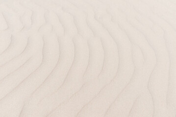 Sandy beach. Sand texture for background. Copy space.Sandy beach for background. Top view