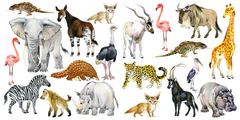 realistic african animals watercolor collection isolated on white. wild nature. wildlife. tropical fauna. 