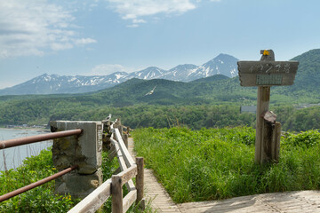 Fototapeta premium 【北海道】知床 オロンコ岩からの眺め