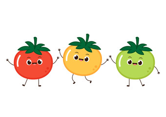 Tomato cartoon. Tomato character design. Tomato on white background.