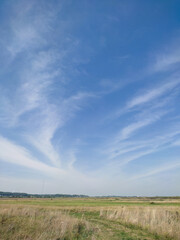 field and sky