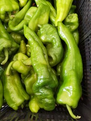 Pimientos