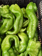 Pimientos