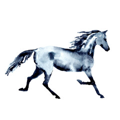 Horse in trot. Watercolor or ink hand painting. Beautiful hand drawing illustration on white. Equestrian silhouette. Running horse in motion. Equine art by artistic brush stroke. Trotting stallion
