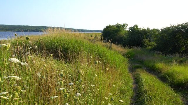 A coastal, salt marsh dyke in the Annapolis Basin, Nova Scotia.