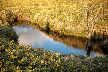 北海道の大自然