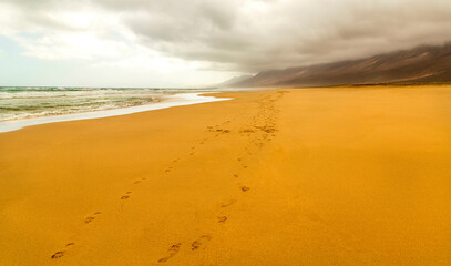 footstep on the beach