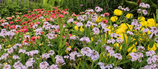 Lavender, Pink, and Yellow Flowers in Garden