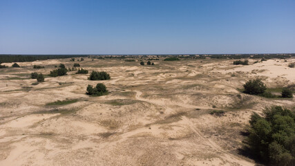 Yellow sand dunes in the desert with bushes and trees. Biggest desert in Europe - Oleshkovsky sands, Kherson region. Ukraine