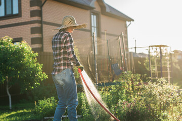 Caucasian woman gardener in work clothes watering the beds in her vegetable garden on sunny warm summer day. Concept of working in the garden and your farm