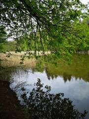 Unterwegs im Bärenbachtal bei Wolfsburg-Unkeroda
