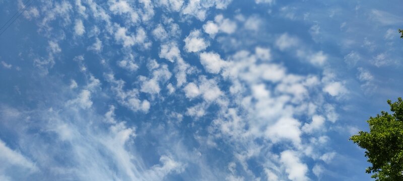 White high clouds in the blue sky. A summer sunny day against the background of a blue sky, white cumulus and cirrus clouds are falling. Clouds stretched across the sky, with the leaves of a tall tree