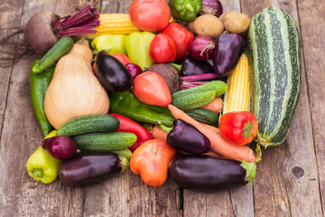 Close-up of a fresh crop of vegetables, a farmer's harvest, a vegetable garden and gardening. Eco-products, vegetarianism, alternative protein, vegetable nutrition