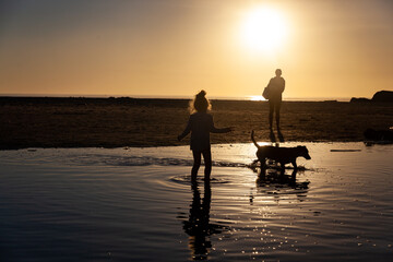 A family plays in a lagoon on the beach.