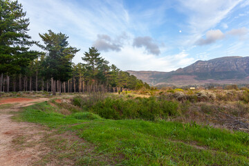 The Tokai forest park which is made up of different sections of pine trees, fynbos and rivers is a place where many people go for walks and activities.