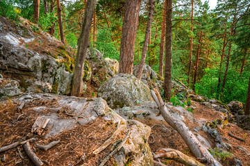 Naklejka na ściany i meble Wild forest with huge stones covered with moss, a mystical natural landscape of northern nature