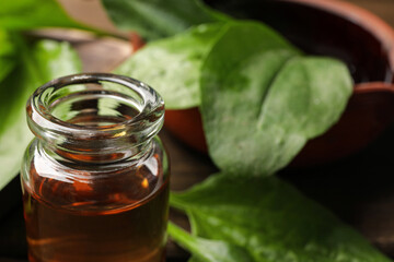 Bottle of broadleaf plantain extract, closeup. Space for text