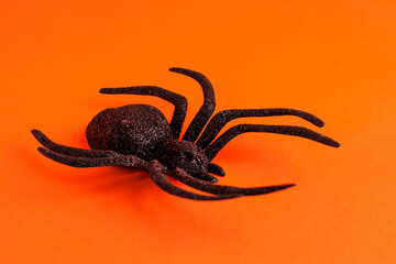 Close up of black horror spider on orange backdrop with copy space. Halloween decoration spooky background concept for holidays