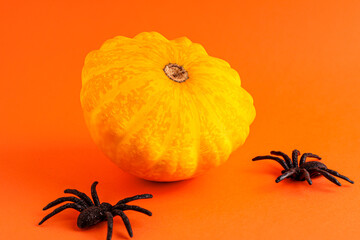 Close up of decoration yellow small Halloween pumpkin mockup template white frame with wooden borders and black horror spiders on orange blurred background with copy space. Holiday autumn concept