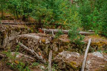 Wild forest with huge stones covered with moss, a mystical natural landscape of northern nature