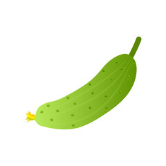 Cucumber icon isolated on white background
