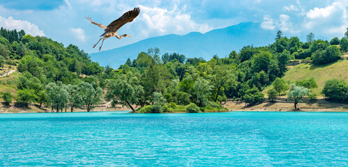 Reiher fliegt über einen türkisfarbenen Alpensee in Italien.