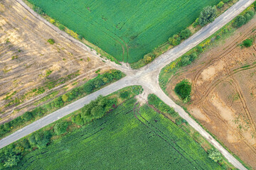 Top view of the crossroads of the country roads on the cultivated agricultural fields. Summer rural landscape