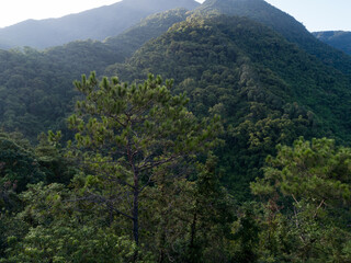 Aerial  view of beautiful landscape of sunrise over summer mountains