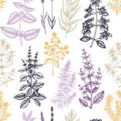 Traditional Provence herbs background. Savory, marjoram, rosemary, thyme, oregano, lavender seamless pattern. Hand-sketched kitchen and aromatic herbs for candle or soap making, cosmetics, perfumery