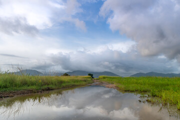 Stormy clouds reflected in a puddle in a dirt road going through a field. Tropical landscape with dramatic sky.