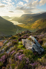 Beautiful Summer view of Buttermere and Crummock Water from top of mountain. Lake District, UK. Interesting heather filled foreground with beautiful sky. - 451405941