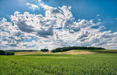 landscape with fields, forest and dramatic sky in mecklenburg western pomerania