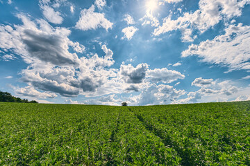 landscape with fields, forest and dramatic sky in mecklenburg western pomerania